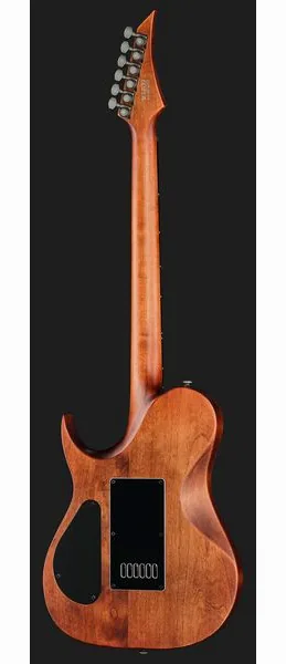 Solar Guitars T1.6D Aged Natural, detalje 3
