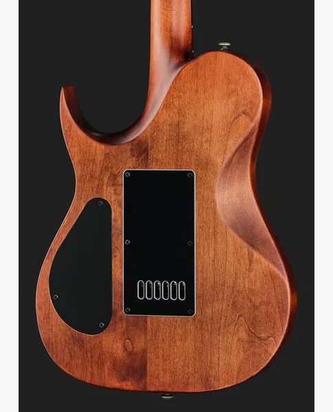 Solar Guitars T1.6D Aged Natural, detalje 5