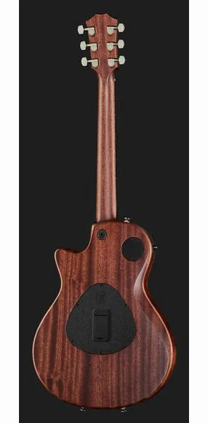 Taylor T5z Classic, detalje 3