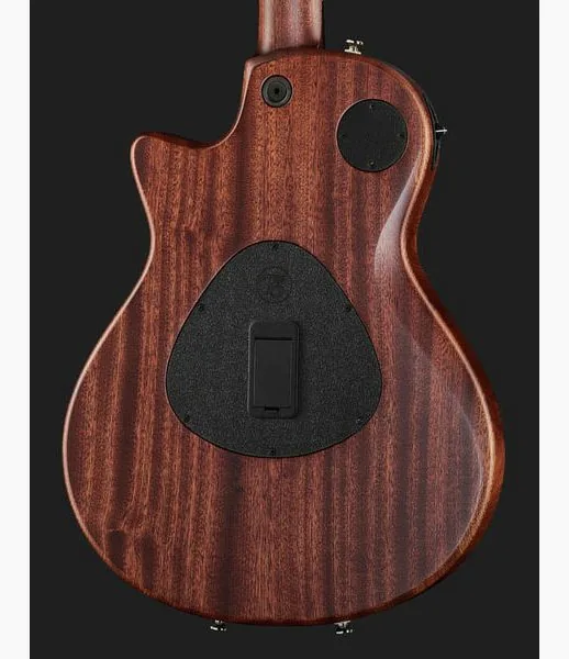 Taylor T5z Classic, detalje 5