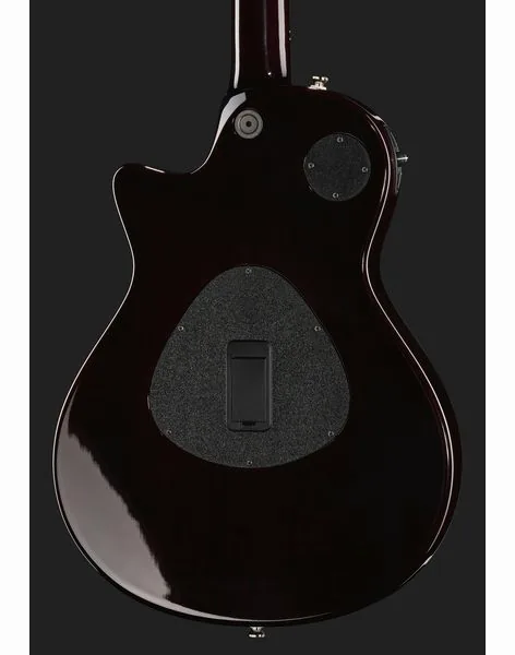 Taylor T5z Pro TSB, detalje 5