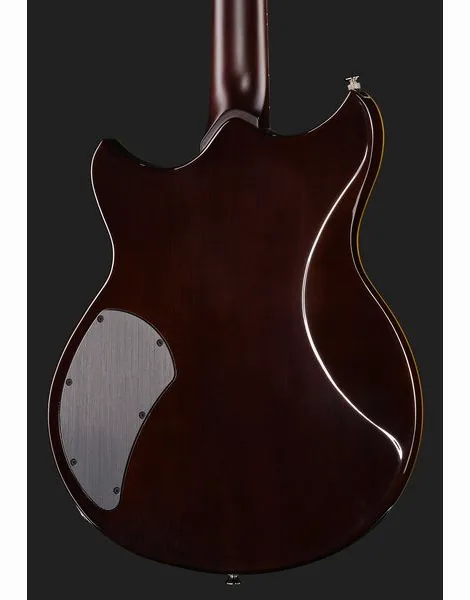 Yamaha Revstar RSP20X R. Br. Charcoal, detalje 5